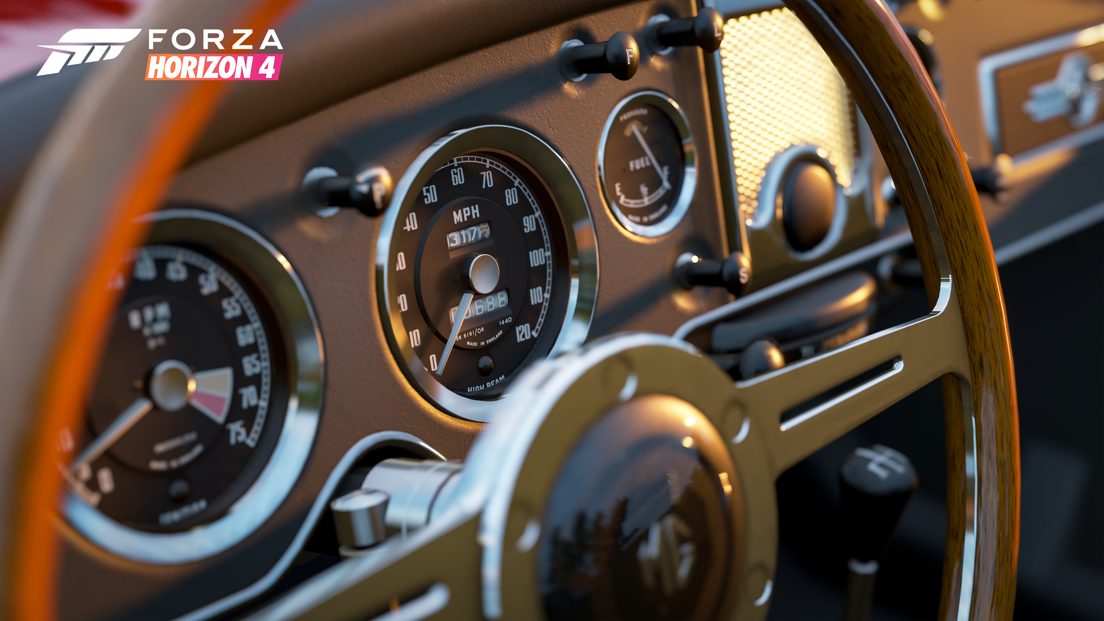 Forza Horizon 4 car's Steering Wheel