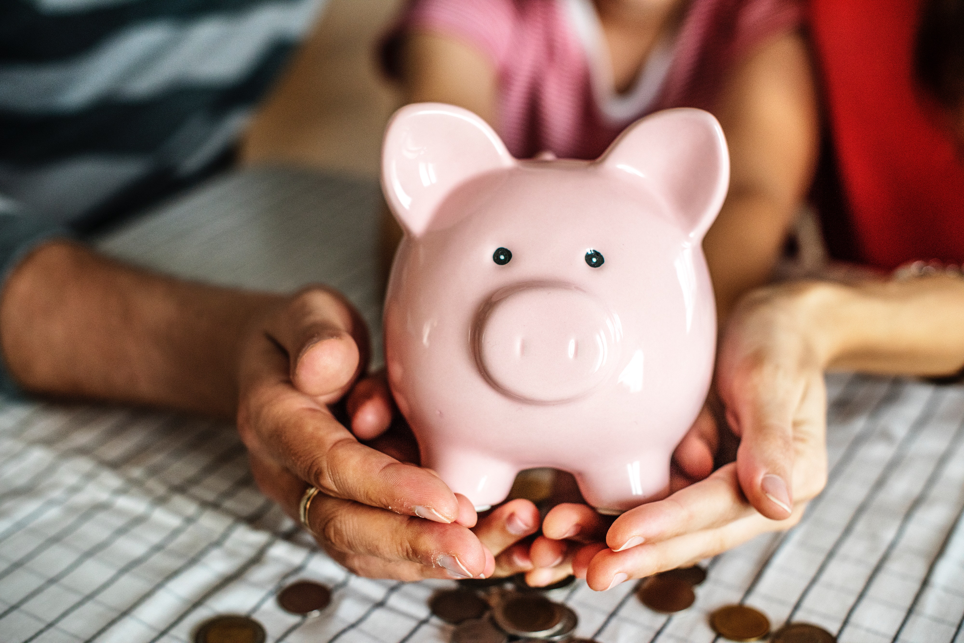 Two people holding a piggy bank