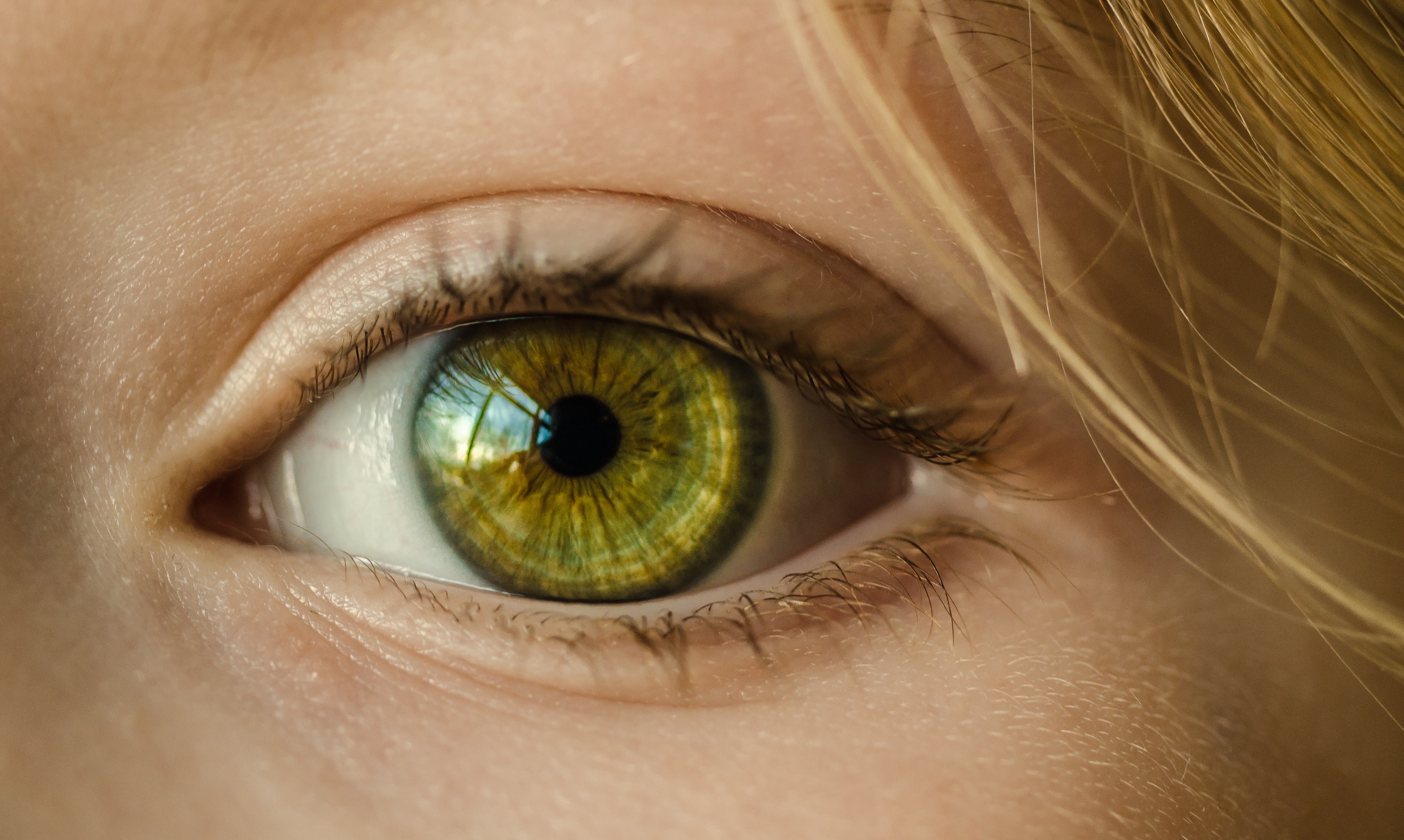 Close-up of a woman's eye