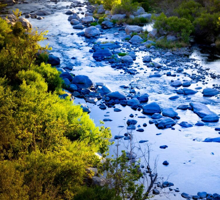 Photo of rocky river and undergrowth